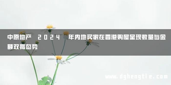 中原地产 2024 年内地买家在香港购屋呈现数量与金额双高态势